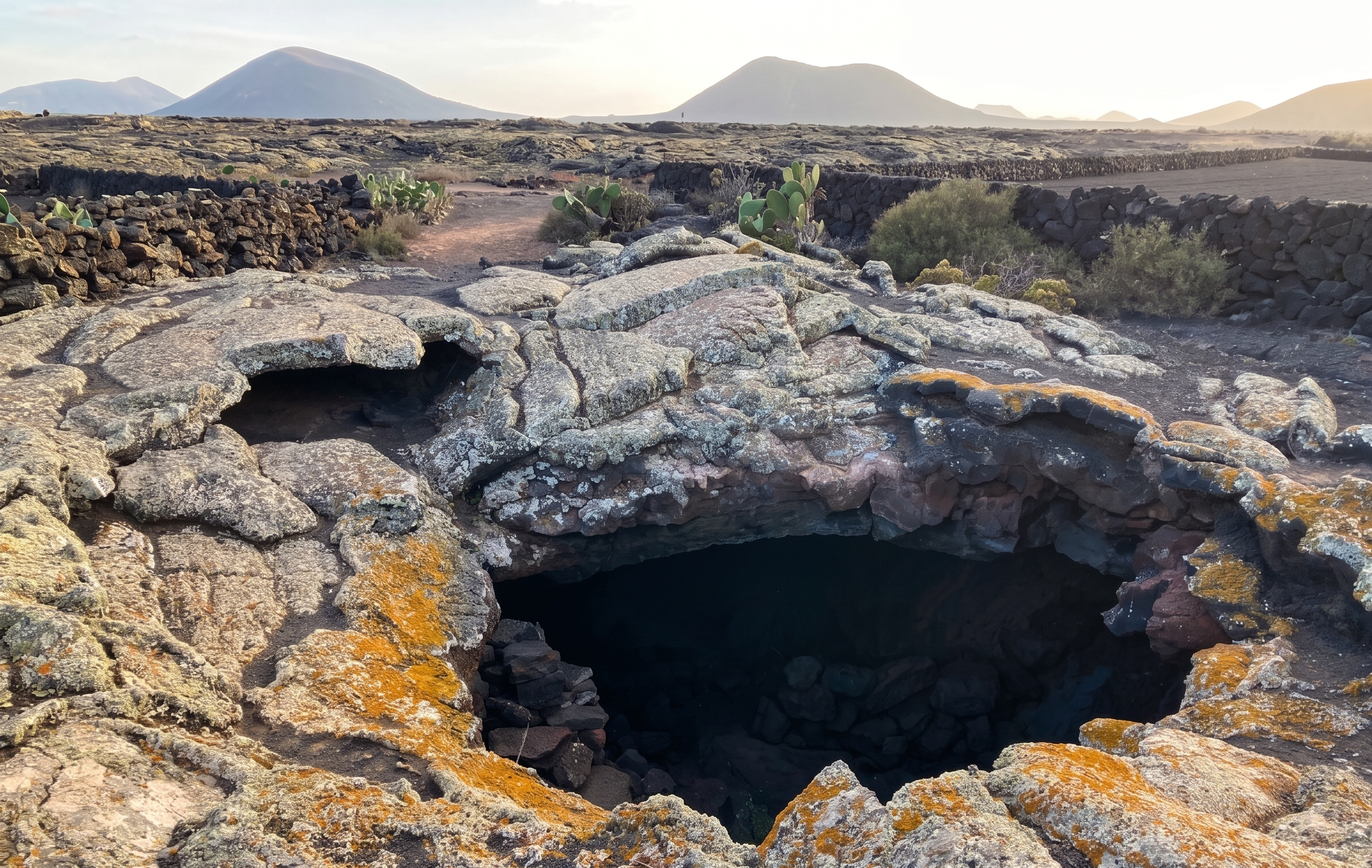 Cueva de los Naturalistas