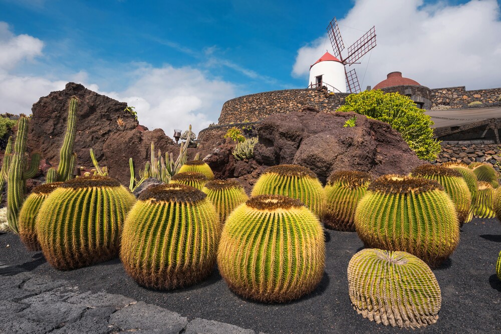 Kaktusgarten (Jardín de Cactus)